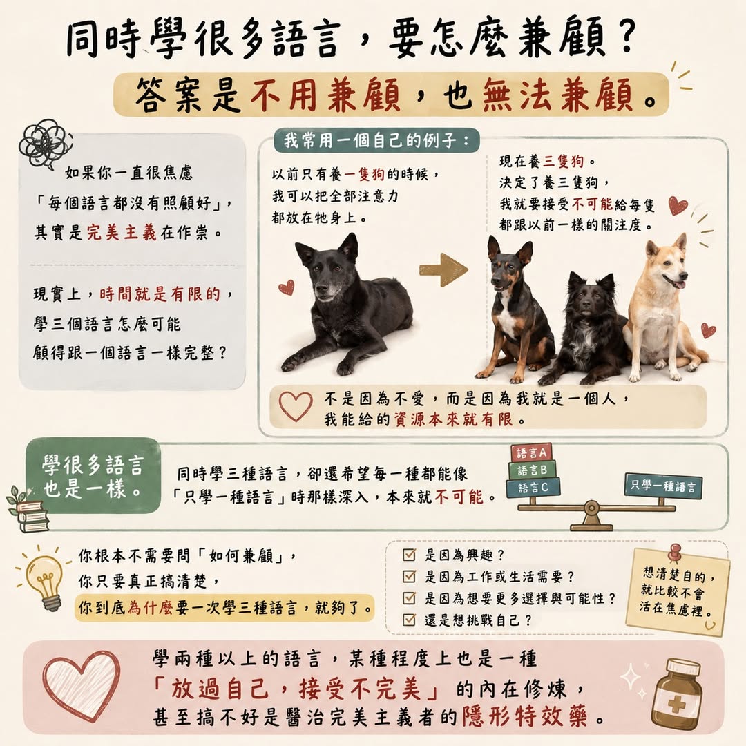 同時學很多語言
