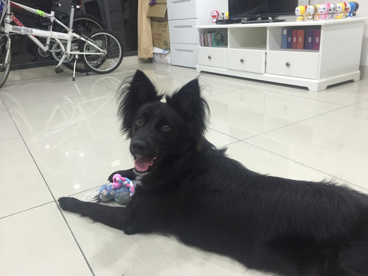 Barbara最近的樣子